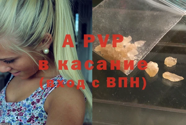 ПСИЛОЦИБИНОВЫЕ ГРИБЫ Балабаново