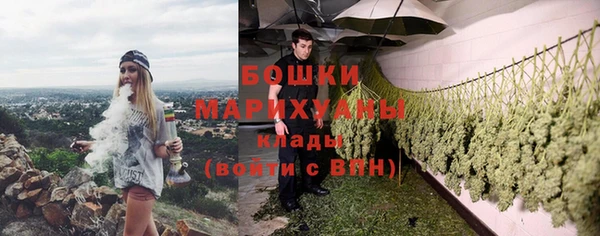 ПСИЛОЦИБИНОВЫЕ ГРИБЫ Балабаново