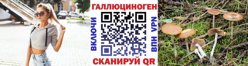 купить закладку  Нефтекумск  Псилоцибиновые грибы MAGIC MUSHROOMS 